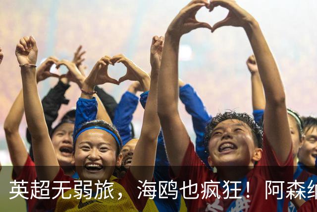 英超无弱旅，海鸥也疯狂！阿森纳3球惨败，拉亚成了远射背景板